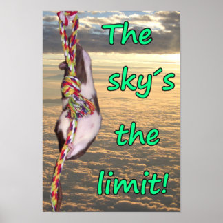 Der Himmel ist das Limit! (Inspirational Rat Poste Poster