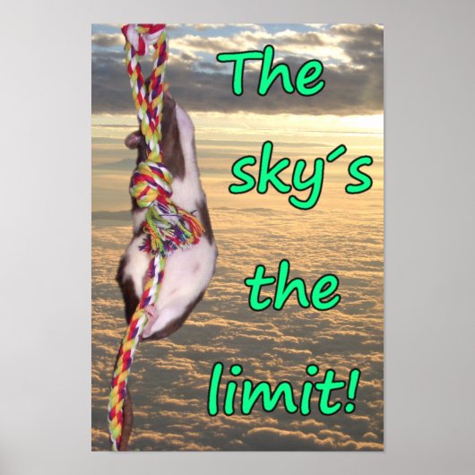 Der Himmel ist das Limit! (Inspirational Rat Poste Poster (Vorne)