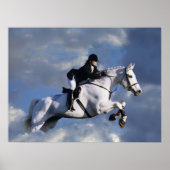 Der Himmel ist die Grenze Poster (Vorne)