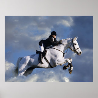 Der Himmel ist die Grenze Poster