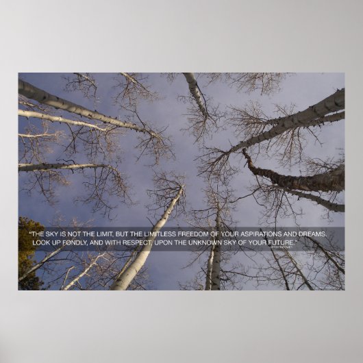 Der Himmel ist nicht das Limit... Poster (Vorne)