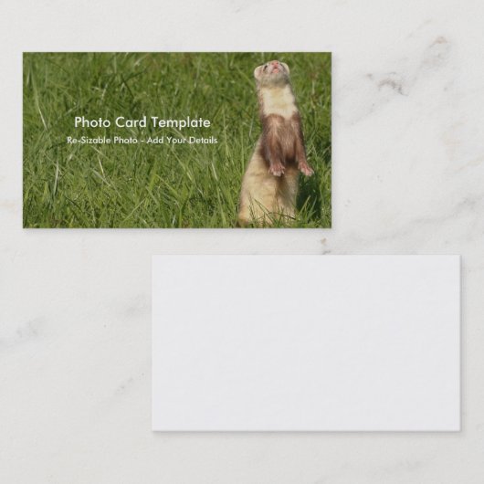 Der Himmel ist Up Ferrets Visitenkarte (Vorne/Hinten)