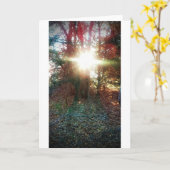 Der Himmel Ließ deinen Lichtschimmer herunter Karte (Gelbe Blume)