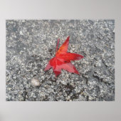 Der Hintergrund der roten Blätter im Büro wird ver Poster (Vorne)