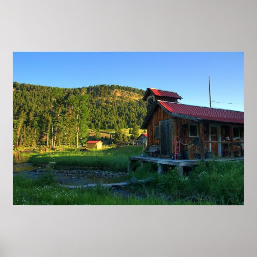 Der Hinterteil Poster (Vorne)