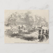 Der Hirschschock bei Gotha Postkarte (Vorderseite)