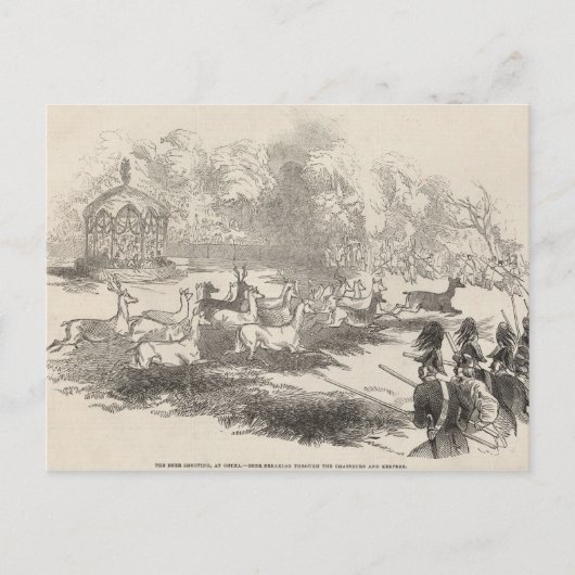 Der Hirschschock bei Gotha Postkarte (Vorderseite)