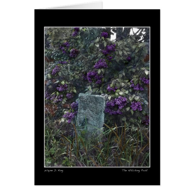 Der Hitching-Post (Vorne)