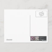 Der Höhepunkt der Kulturdrache Postkarte (Rückseite)