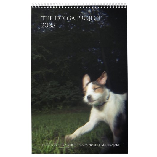 Der Holga Projekt-Farbkalender 2 - besonders Kalender (Titelbild)