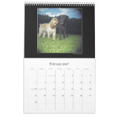 Der Holga Projekt-Farbkalender 2 - besonders Kalender (Feb 2027)