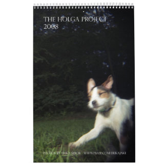 Der Holga Projekt-Farbkalender 2 - besonders Kalender