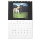 Der Holga Projekt-Farbkalender 2 - besonders Kalender (Feb 2026)