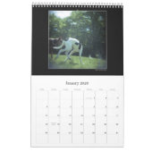 Der Holga Projekt-Farbkalender 2 - besonders Kalender (Jan 2026)