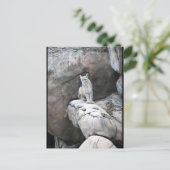 Der Horst des Bergkönigs Postkarte (Stehend Vorderseite)