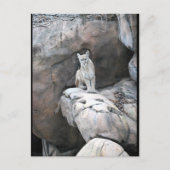Der Horst des Bergkönigs Postkarte (Vorderseite)