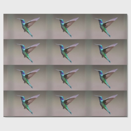 Der Humingvogelflug Geschenkpapier (Flach)
