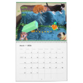 Der Hummel-Bunch 2023-Kalender Kalender (Mär 2026)