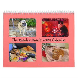 Der Hummel-Bunch 2023-Kalender Kalender