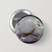 Der Hummer Button (Vorne & Hinten)