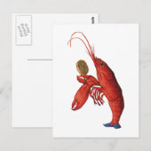 Der Hummer-Quadrille Postkarte (Vorne/Hinten)