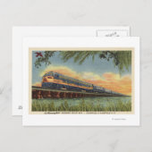 Der Humming-Vogelzug Postkarte (Vorne/Hinten)