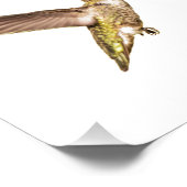 Der Hummingbird und die Blume Fotodruck (Ecke)