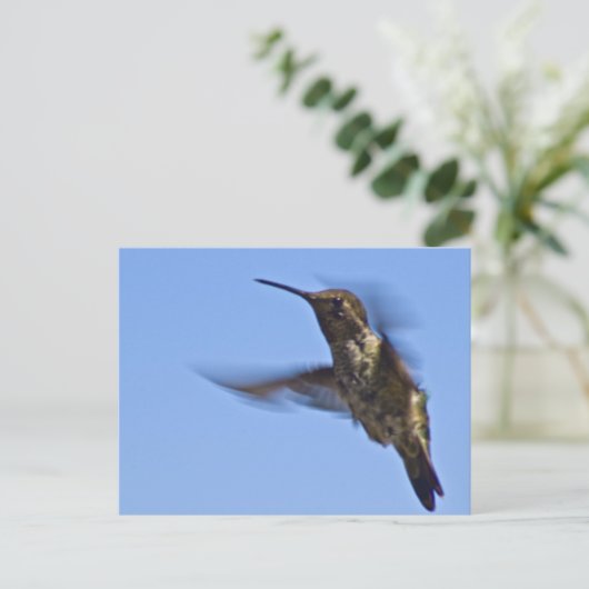 Der Hummingvogelflug Postkarte (Stehend Vorderseite)
