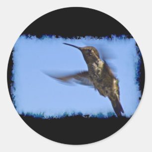 Der Hummingvogelflug Runder Aufkleber