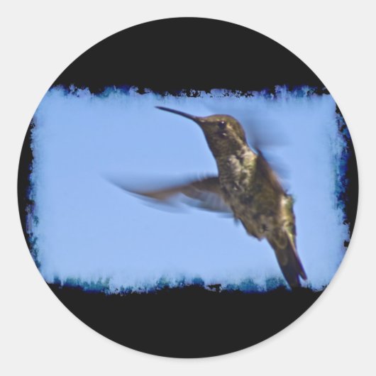 Der Hummingvogelflug Runder Aufkleber (Vorderseite)