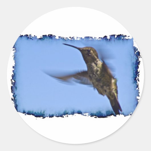 Der Hummingvogelflug Runder Aufkleber (Vorderseite)