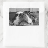 Der Hund bleibt jetzt unter Zaun, Flüchtige Blick Rechteckiger Aufkleber (Tasche)