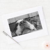 Der Hund bleibt jetzt unter Zaun, Flüchtige Blick Rechteckiger Aufkleber (Umschlag)