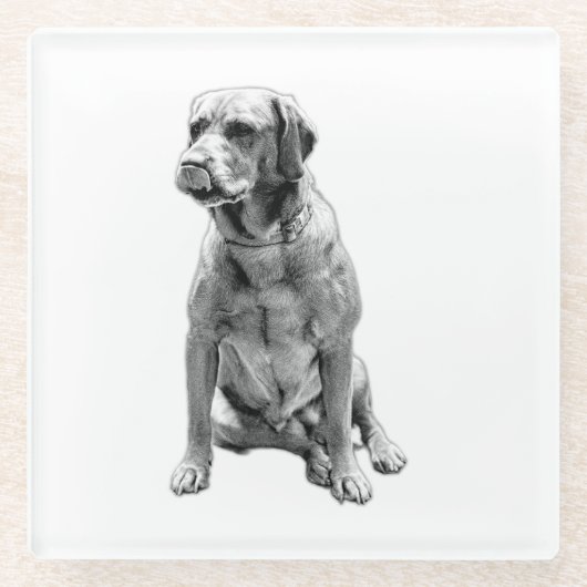 Der Hund, der nie Verlasst Glasuntersetzer (Vorderseite)