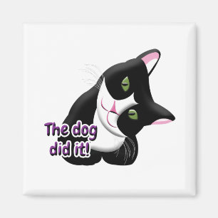 Der Hund hat es Cat gemacht Magnet