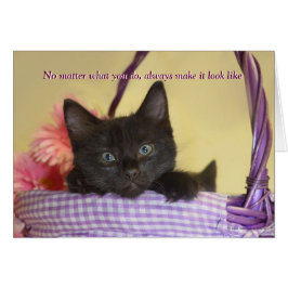 Der Hund hat es getan