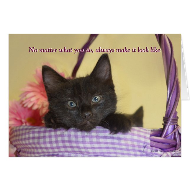 Der Hund hat es getan (Vorderseite (Horizontal))