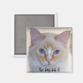 DER HUND HAT ES GETAN MAGNET (Vorderseite/Rückseite)