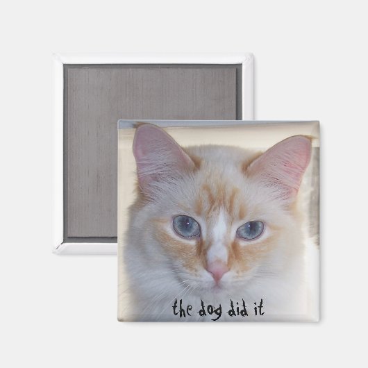 DER HUND HAT ES GETAN MAGNET (Vorderseite/Rückseite)