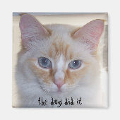 DER HUND HAT ES GETAN MAGNET (Vorne)