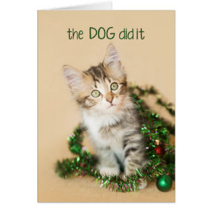 Der Hund hat es Kitten gemacht