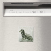 Der Hund Jacob Magnet (In Situ (Geschirrspüler))