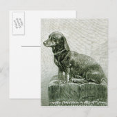 Der Hund Jacob Postkarte (Vorne/Hinten)