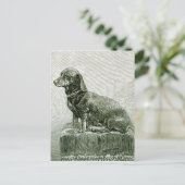 Der Hund Jacob Postkarte (Stehend Vorderseite)