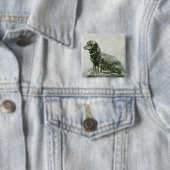 Der Hund Jakob Button (Beispiel)