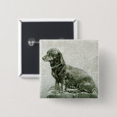 Der Hund Jakob Button (Vorne & Hinten)