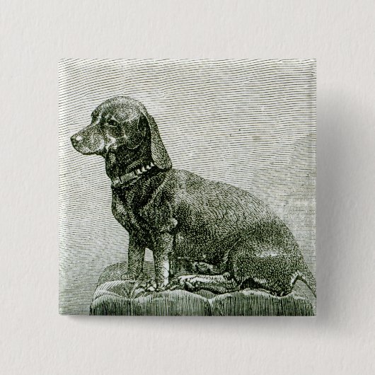 Der Hund Jakob Button (Vorderseite)
