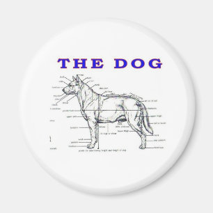 DER HUND MAGNET