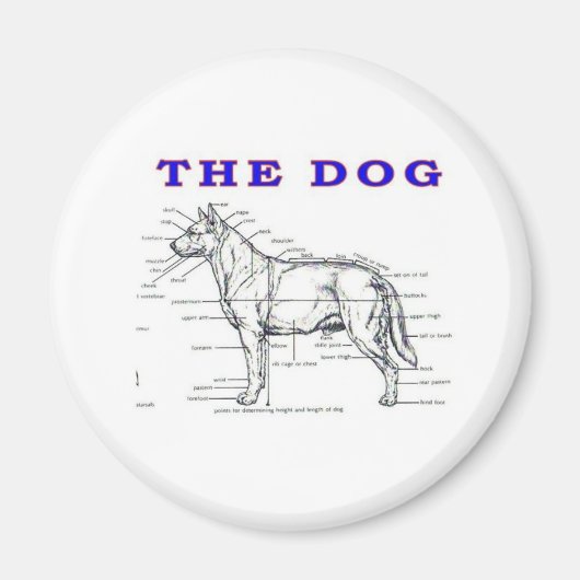 DER HUND MAGNET (Vorne)