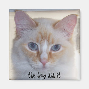 DER HUND TAT ES MAGNET